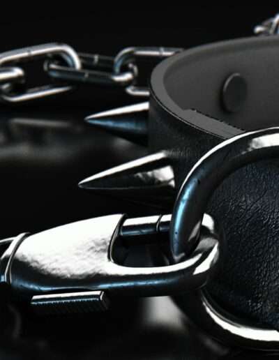 pomme damour 11 Galerie