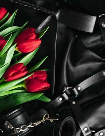 pomme damour 24 Galerie