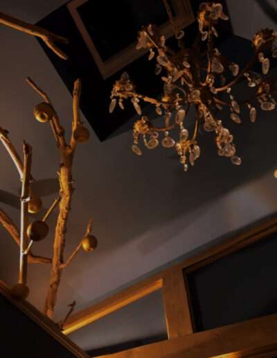 039BB845 8E27 4E9C 967F D47707B22E0F 2 Galerie